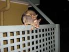 thumbs/img_0620.jpg