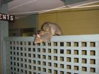 thumbs/img_0621.jpg