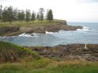 thumbs/img_0628.jpg