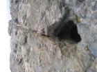 thumbs/img_0630.jpg