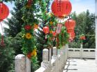 thumbs/img_0731.jpg