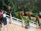 thumbs/img_0732.jpg