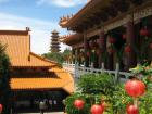 thumbs/img_0737.jpg