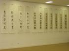 thumbs/img_0738.jpg