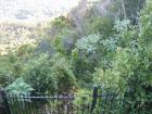 thumbs/img_0759.jpg