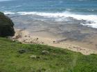 thumbs/img_0877.jpg