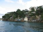 thumbs/img_0896.jpg