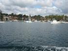 thumbs/img_0898.jpg