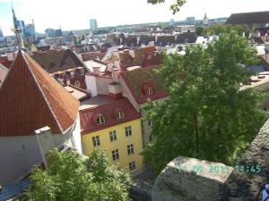 thumbs/bild9206.jpg