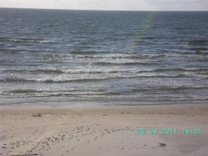 thumbs/bild0097.jpg