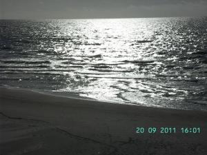 thumbs/bild0099.jpg