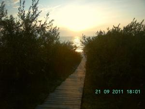 thumbs/bild0290.jpg