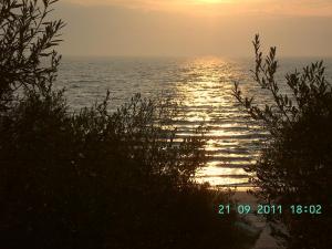 thumbs/bild0292.jpg