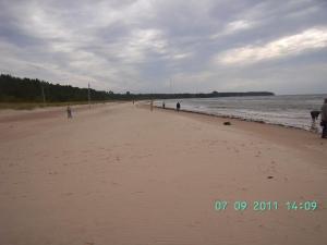 thumbs/bild8980.jpg