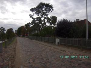 thumbs/bild9775.jpg