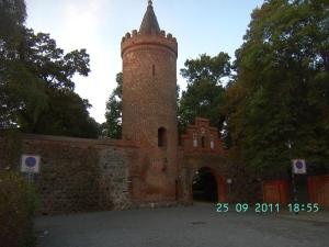 thumbs/bild0783.jpg
