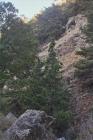 thumbs/028_25a.jpg