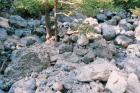 thumbs/029_index.jpg