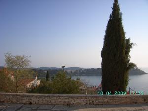 thumbs/bild5608.jpg