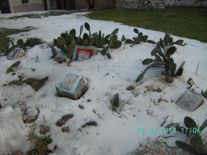 thumbs/BILD9070.jpg