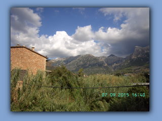 BILD3884.jpg