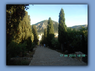 BILD4972.jpg