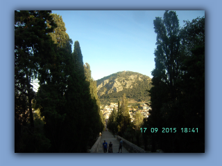 BILD4974.jpg