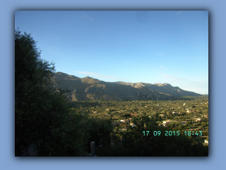 BILD4978.jpg