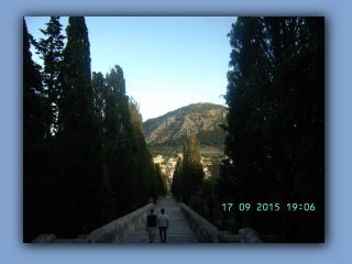 BILD4986.jpg