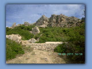 BILD5045.jpg