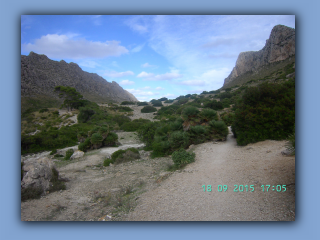 BILD5052.jpg