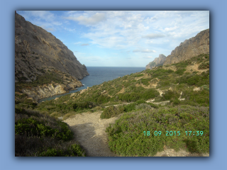 BILD5073.jpg