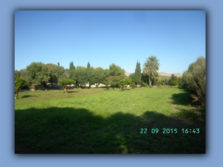 BILD5481.jpg
