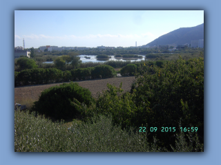 BILD5485.jpg