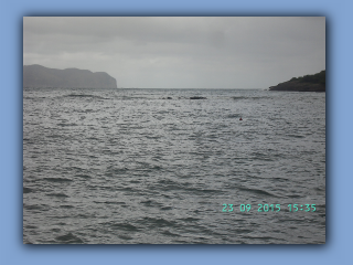 BILD5544.jpg
