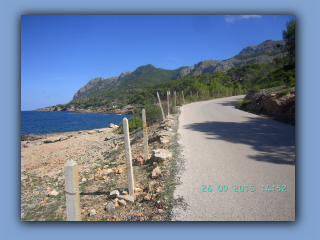 BILD5828.jpg