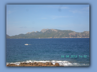 BILD5830.jpg
