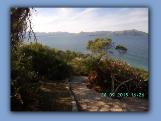 BILD5835.jpg