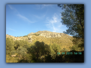BILD5841.jpg