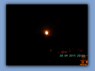 BILD5965.jpg