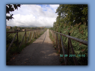 BILD6042.jpg