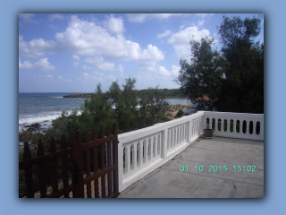 BILD6177.jpg