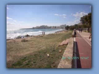 BILD6278.jpg