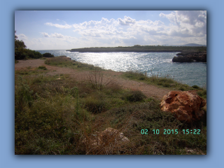 BILD6320.jpg