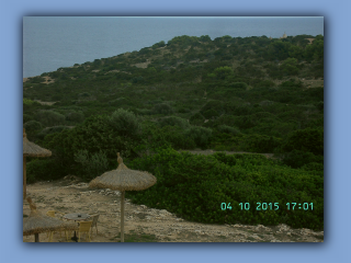BILD6540.jpg