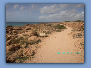 BILD6719.jpg