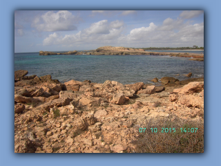 BILD6721.jpg