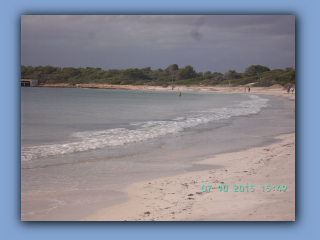 BILD6737.jpg