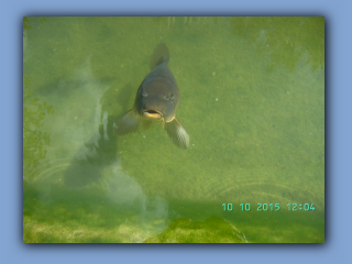 BILD6924.jpg
