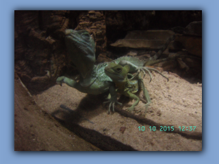 BILD6948.jpg